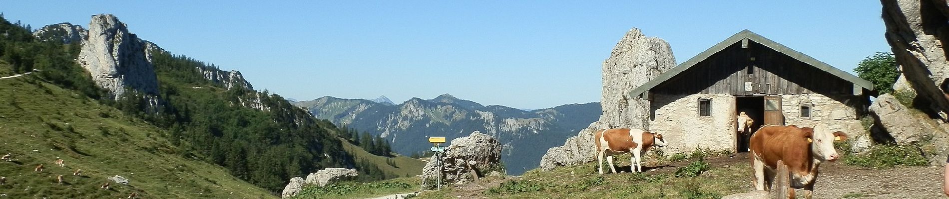 Tour Zu Fuß Grassau - Genial Vital 4 - Photo