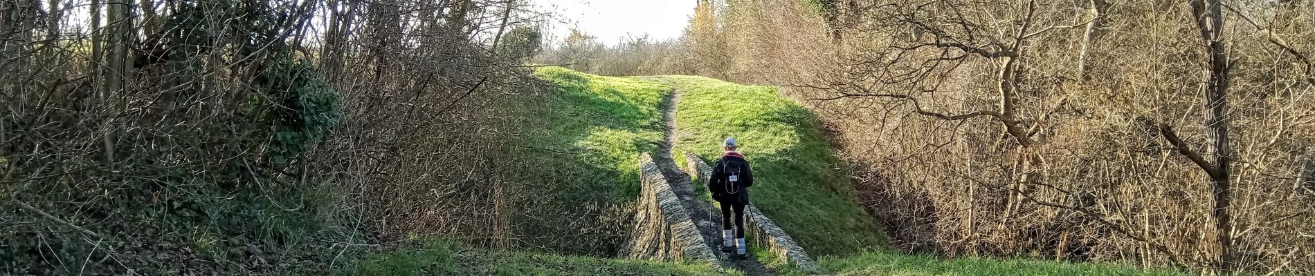 Trail Walking Pavant - Pavant du 21-02-2023 - Photo