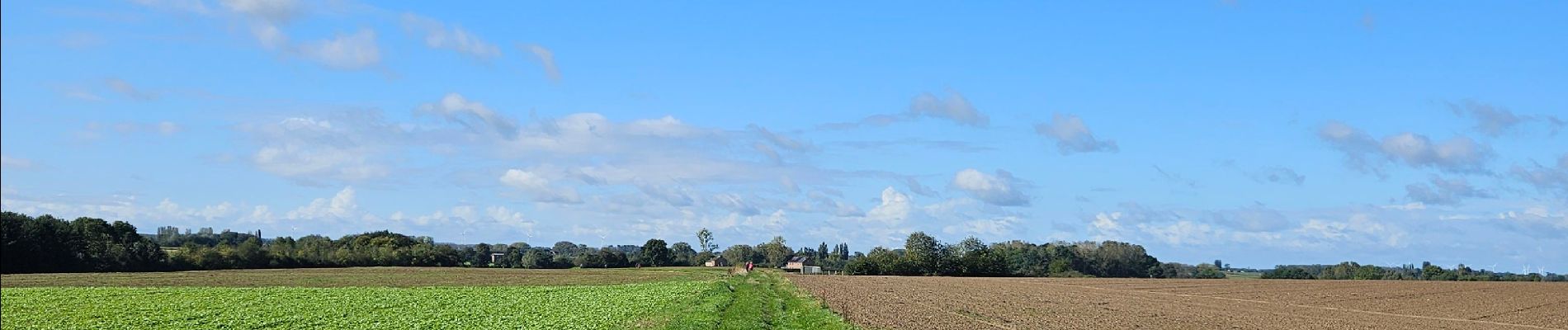 Tocht Stappen Fernelmont - A la découverte de Fernelmont 🥾 - Photo