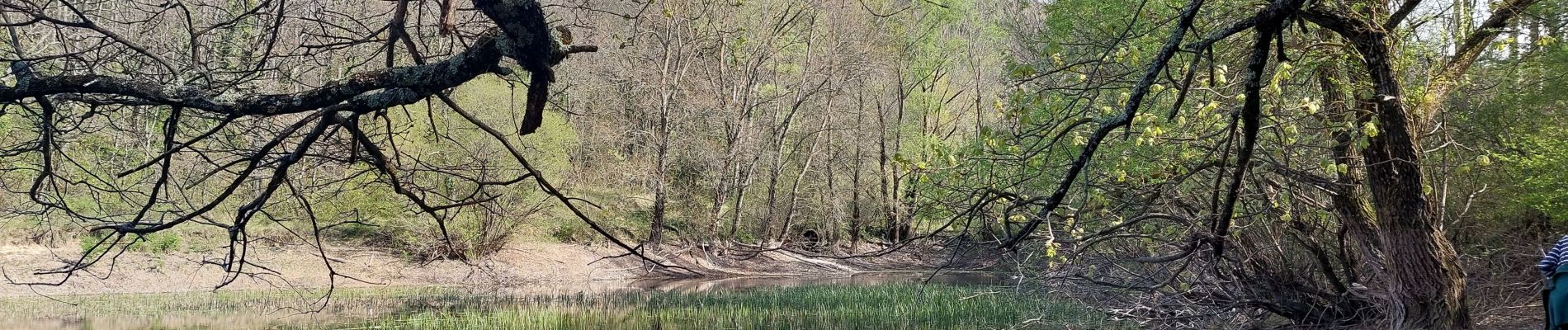 Trail Walking Souspierre - Souspierre: Serre Forillon 9km - Photo