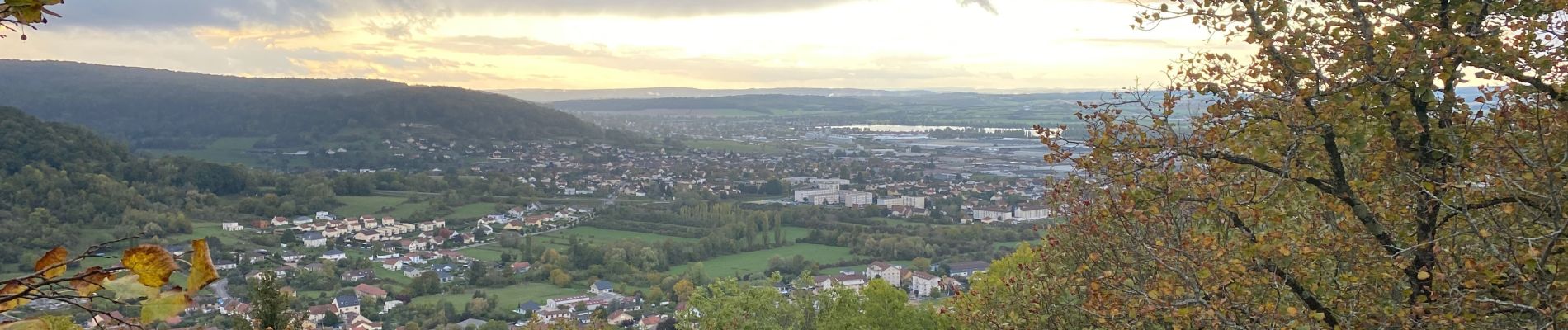 Randonnée Marche Échenoz-la-Méline - Petit tour plateau cita  - Photo