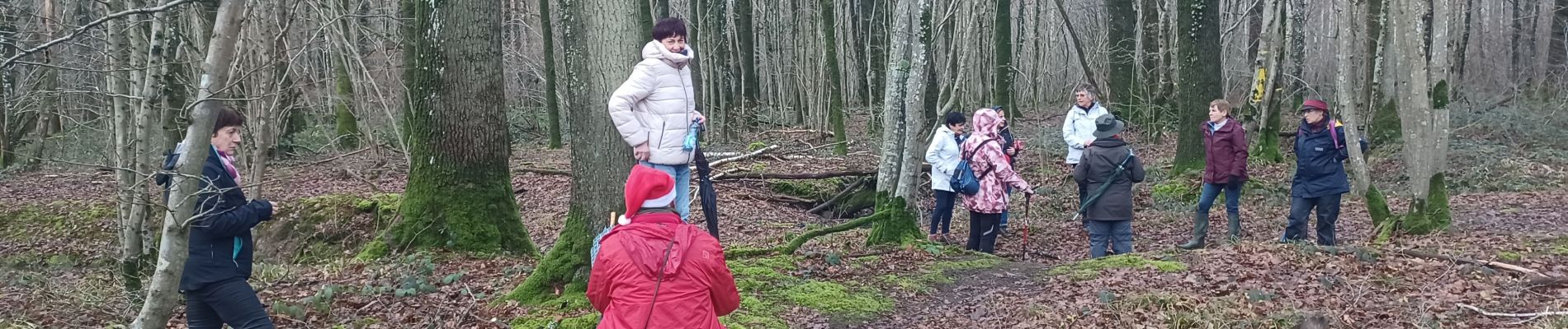 Randonnée Marche Chimay - 2023.13.21 Tamalous de la Botte  - Photo