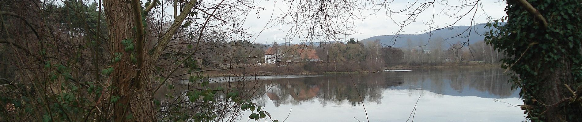 Tour Zu Fuß Alzenau - Ortswanderweg Alzenau 5 - Photo