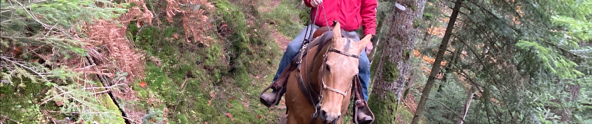 Trail Horseback riding Raon-l'Étape - L trouche pluie tout petit tour  - Photo