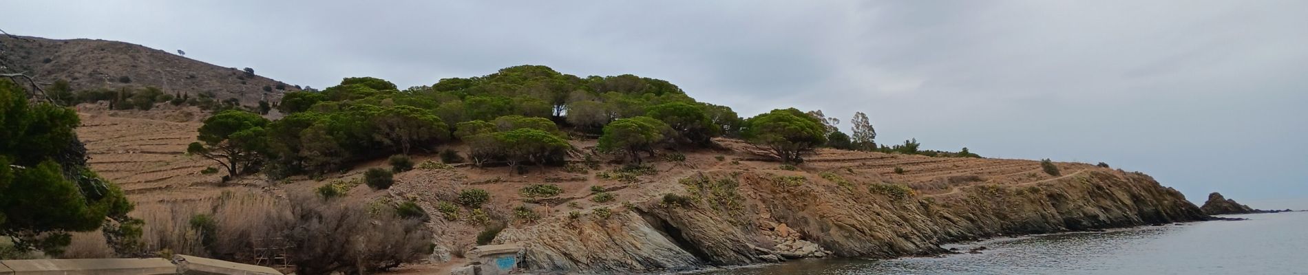 Trail Walking Port-Vendres - anse des paulilles - cap bear / retour par les vignes - Photo