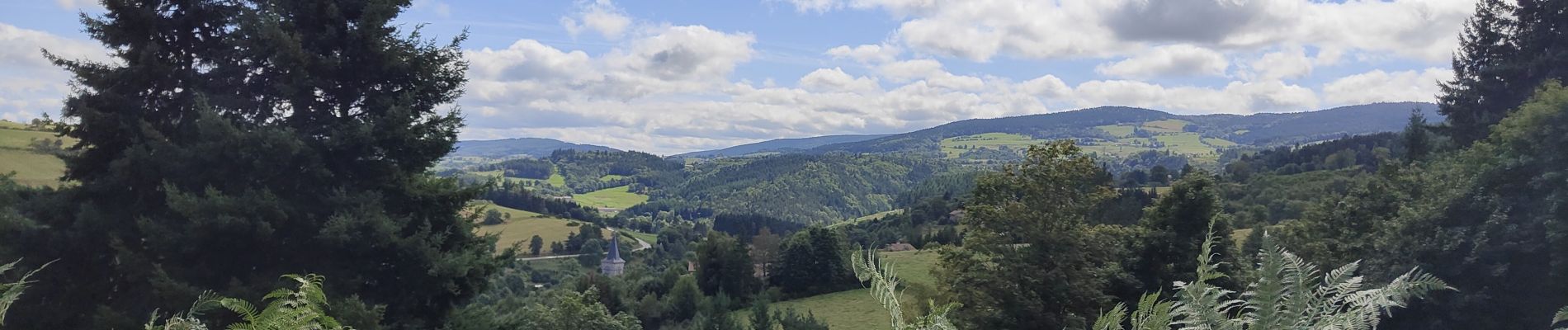 Tour Wandern Chalmazel-Jeansagnière - Au dessus de Chalmazel  - Photo