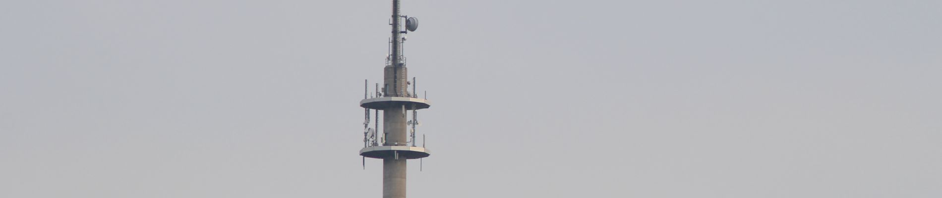 Randonnée A pied Gemünden am Main - Rote Schnepfe, Zollberg-Langeprozelten - Photo