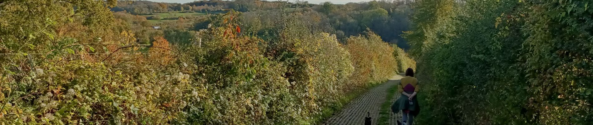 Tocht Stappen Heerlen - Putberg tot Slakkenpad en terug  - Photo