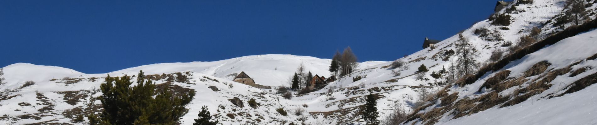 Excursión Raquetas de nieve Orcières - 2020-01-20_15h07m48_Orcieres-11-Boucle-la-Forest-des-Marches-et-les-Marches - Photo