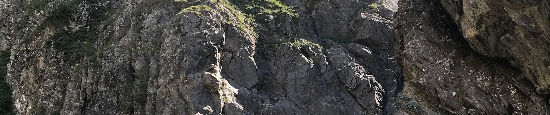 Tour Wandern La Chapelle-en-Valgaudémar - Cascade de la Buffe  - Photo