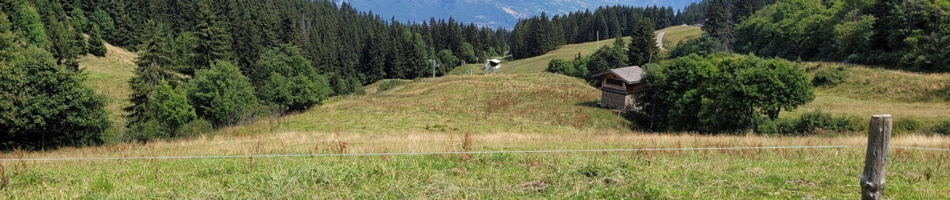 Tour Wandern Combloux - 230815 - Photo