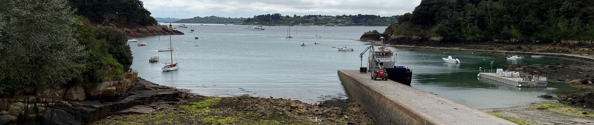 Randonnée Marche Île-de-Bréhat - 20230428_Brehat_02 - Photo