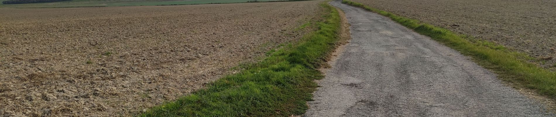 Tocht Stappen Witzand - Wissant Mont de couple retour plage - Photo