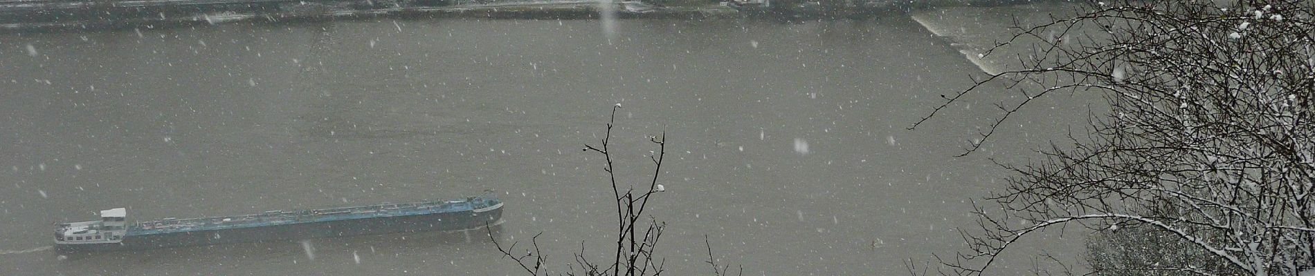 Tour Zu Fuß Lorch - Rhein-Wisper-Glück - Photo