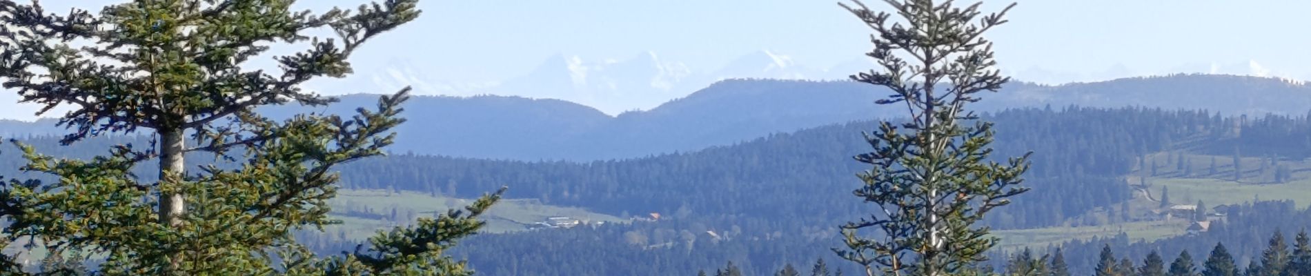 Tocht Stappen Grand'Combe-Châteleu - Mont Chateleu  - Photo