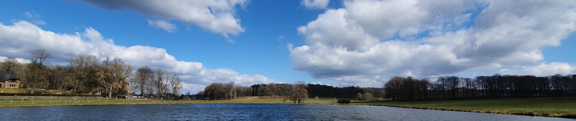 Tour Wandern Libramont-Chevigny - rando bras-bas 19/03/2021 - Photo