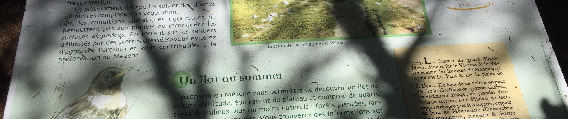 Percorso Marcia Borée - Randonnée au Mont Mézenc  - Photo