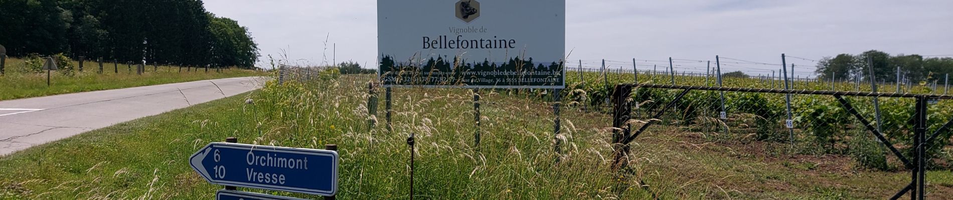 Trail Walking Bièvre - Bellefontaine 250521 - Photo