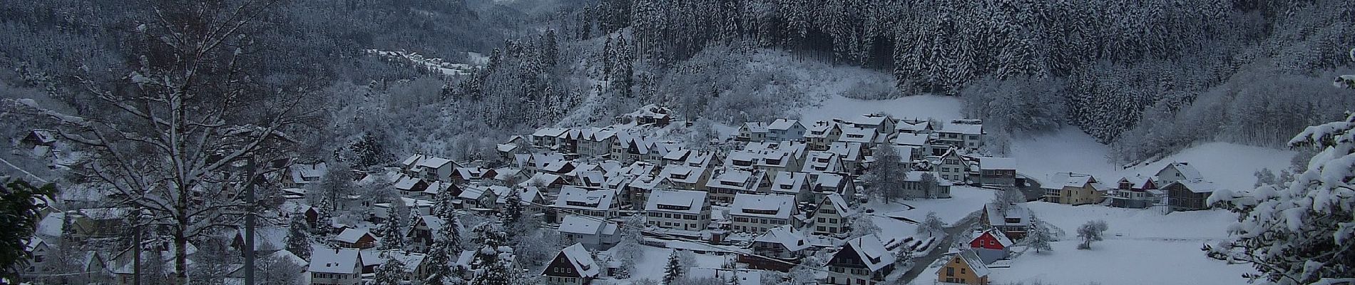 Tocht Te voet Oberndorf am Neckar - Oberndorf - Schenkenzell - Photo