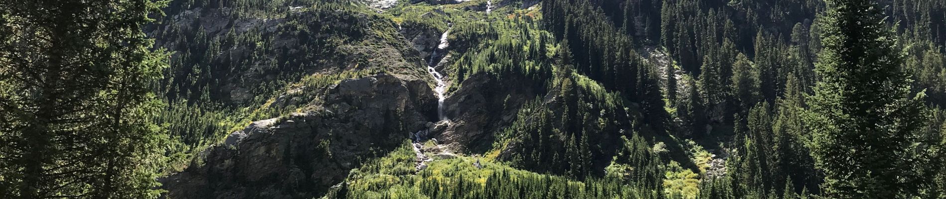 Percorso Marcia Moose Pond - Cascade Creek - Jenny Lake Grand Tetond - Photo