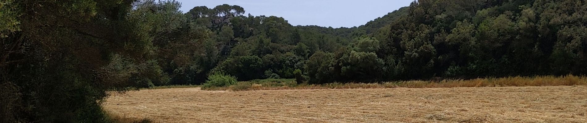 Tocht Stappen es Migjorn Gran - de San Thomas à Cala Mitjana  par le sentier littoral retour par cami des cavals - Photo