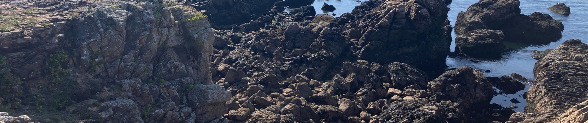 Percorso Sentiero Batz-sur-Mer - Tour du Croisic(20.5K 100D+) - Photo