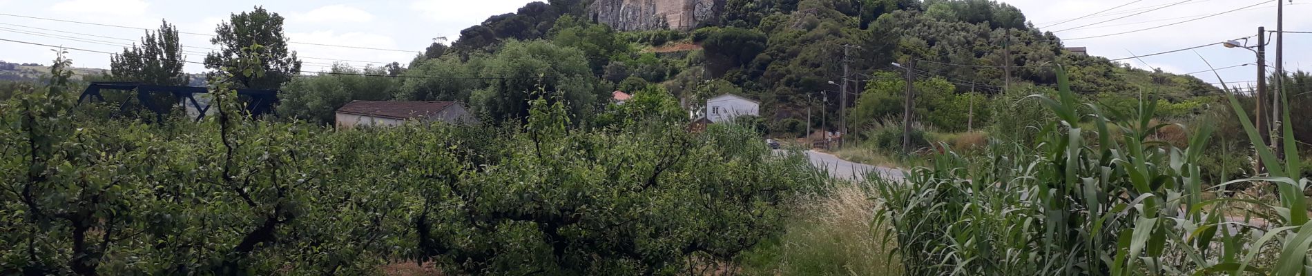 Tocht Hybride fiets Foz do Arelho - Obidos - Photo