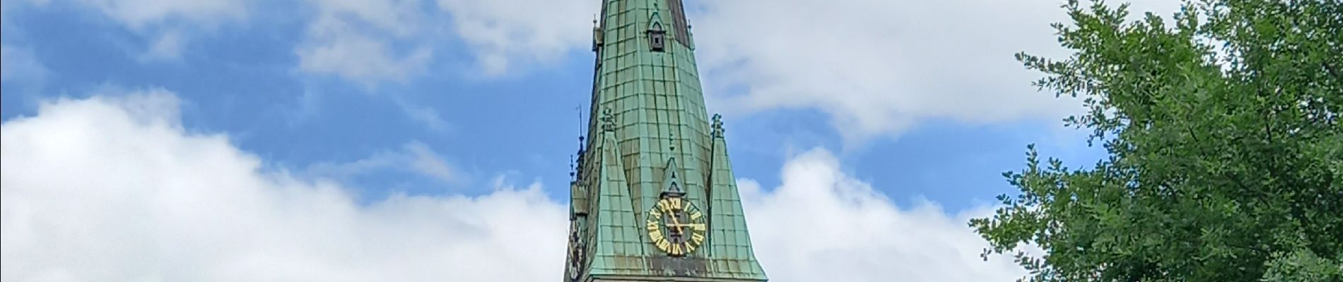 Tour Wandern Châtelet - Châtelet adeps 10 km - Photo