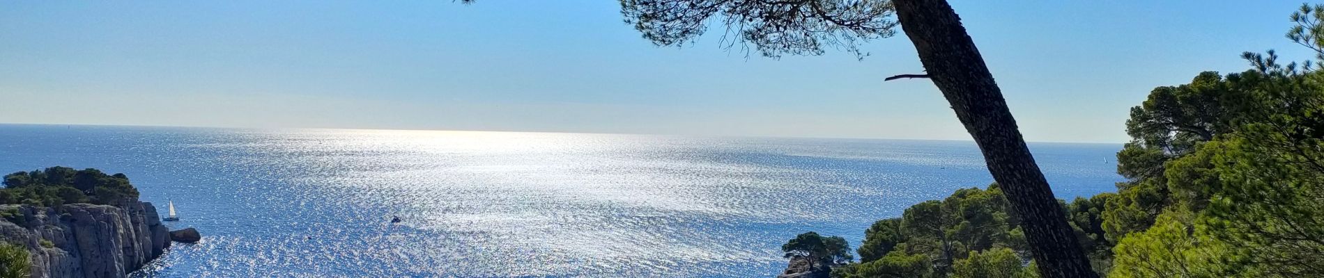 Tocht Stappen Cassis - Calanques Port-Miou, Port-Pin, En-Vau - Photo