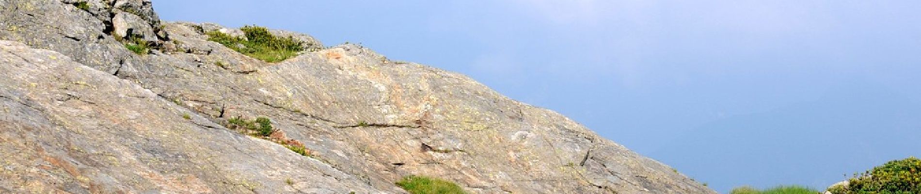 Tour Zu Fuß Malesco - P17 - Bivio M14 presso Cima della Laurasca - Rifugio Bta di Campo - Cima Pedum - Photo