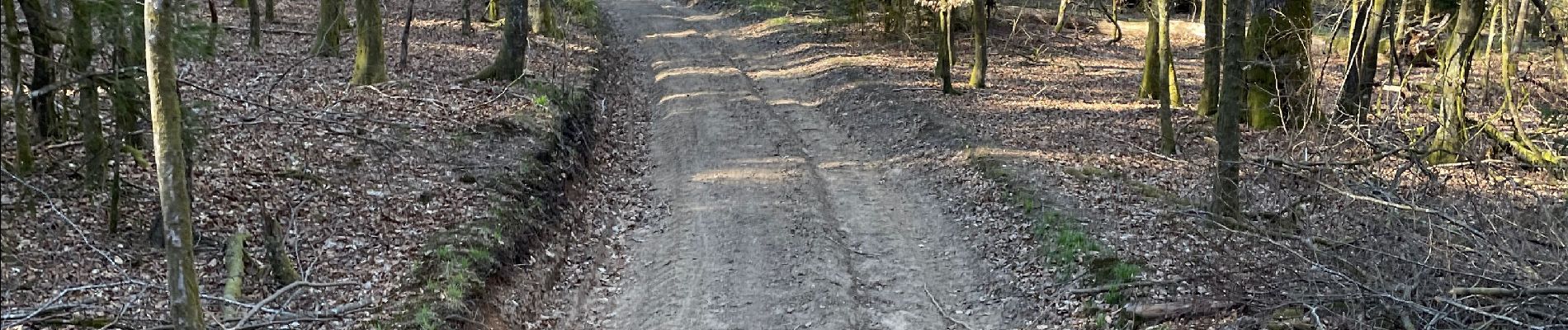 Tocht Paardrijden Florenville - Les Epioux  - Photo