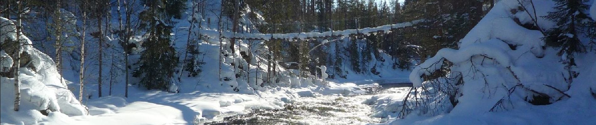 Percorso A piedi Kuusamo - Pieni Karhunkierros - Photo