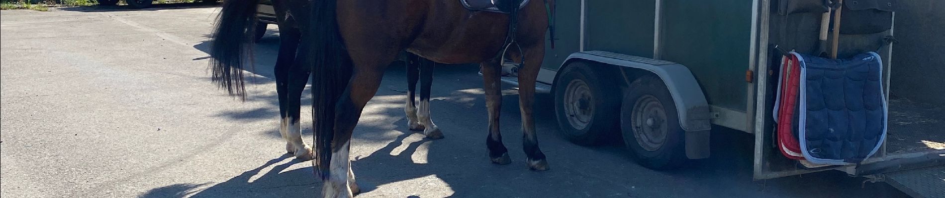 Tour Reiten Anhée - salet dinant (katrien) - Photo