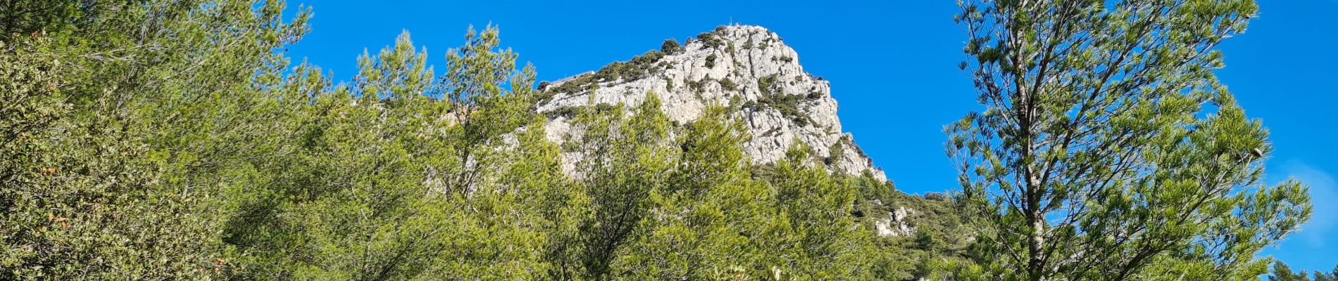 Tocht Stappen La Valette-du-Var - Coudon fort Girardin sud - Photo