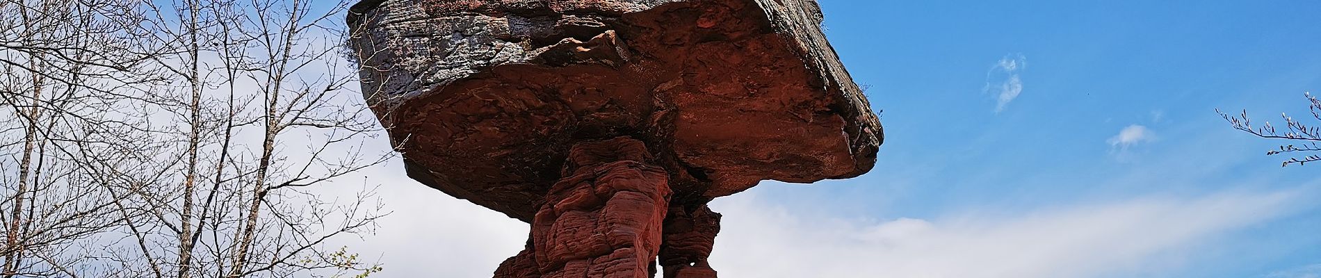 Tour Zu Fuß Hauenstein - Hauensteiner Nr. 21 - Photo