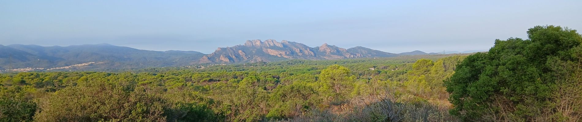 Percorso Marcia Roquebrune-sur-Argens - Lac des Requins - Photo