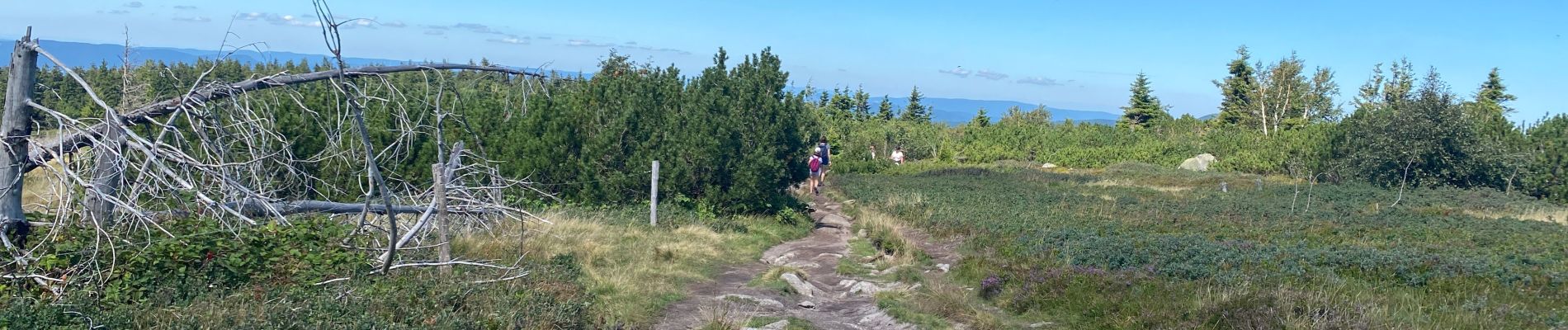 Percorso Marcia Le Bonhomme - Lac blanc col du calvaire - Photo