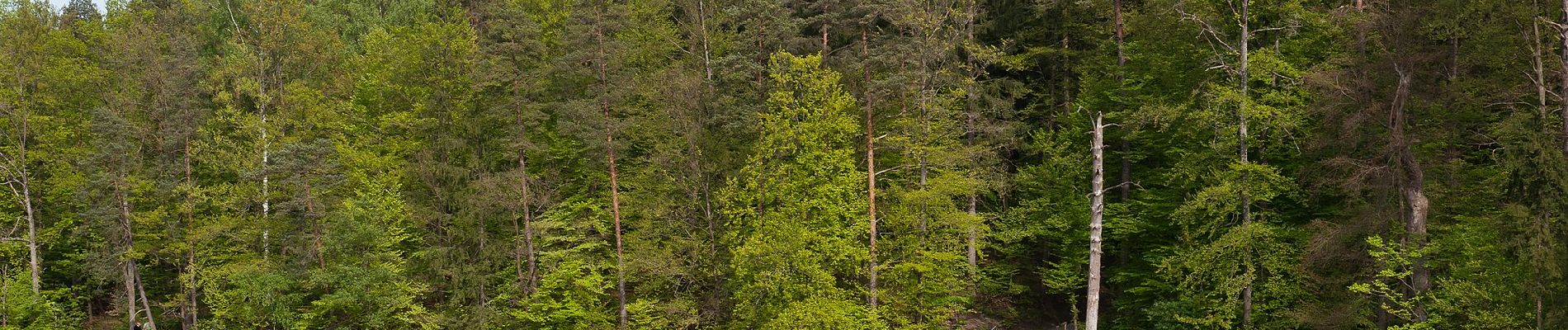 Tour Zu Fuß Unbekannt - DE-SAV Roter Punkt, Solitude - Vaihingen - Photo