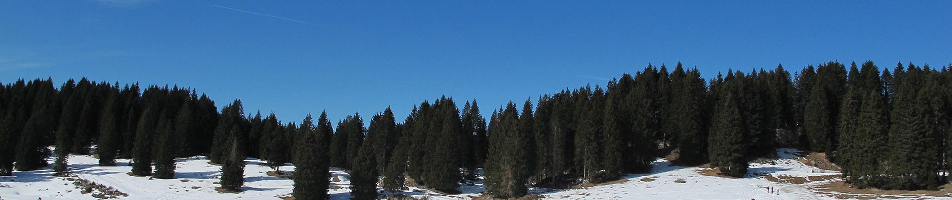 Percorso A piedi Roana - Monte Erio - Photo