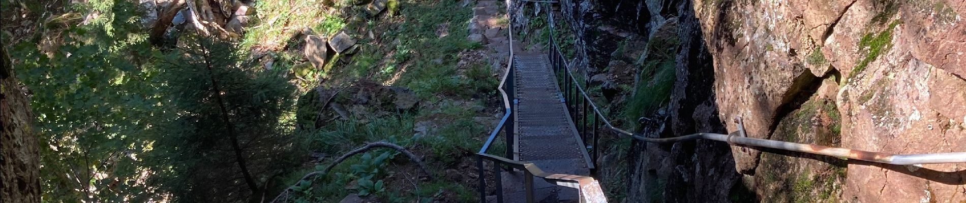 Tour Wandern Le Valtin - Sentier des roches - Photo