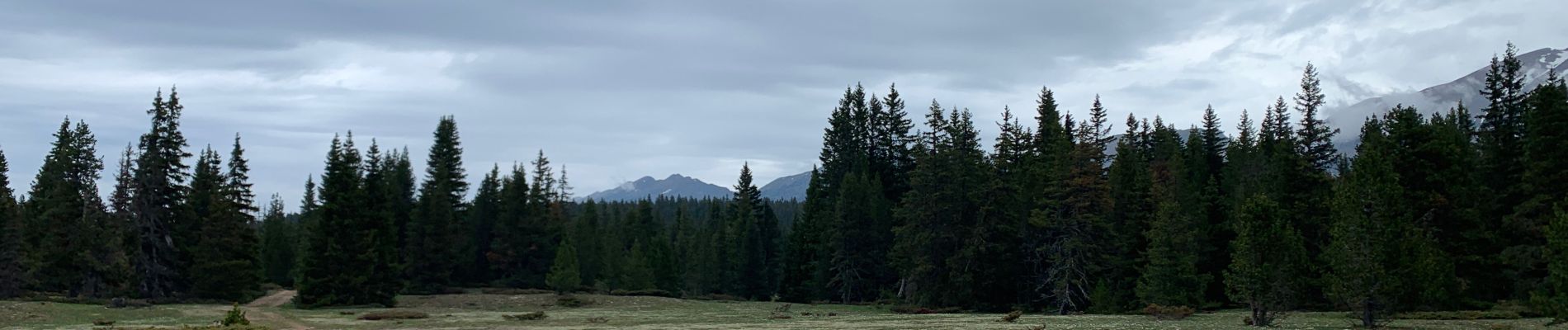 Tour Wandern Saint-Agnan-en-Vercors - La Coche - Photo