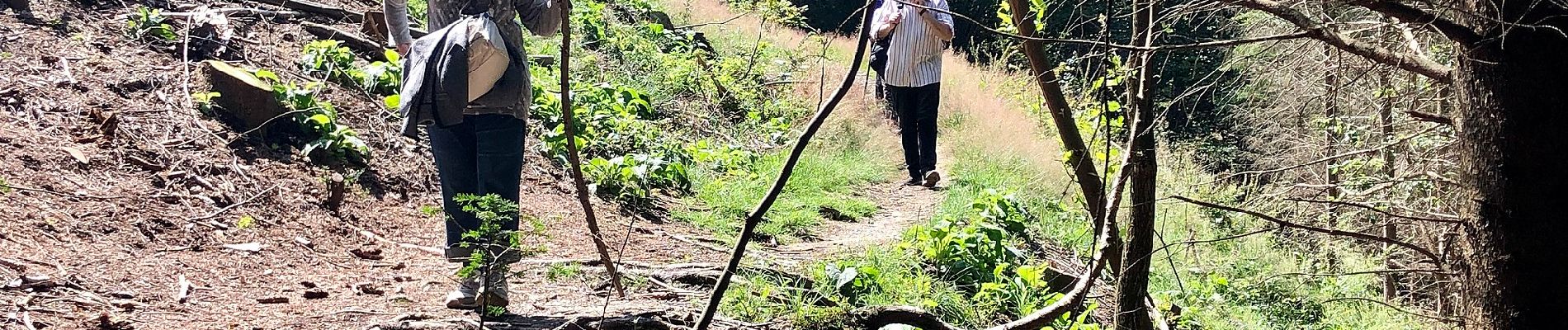 Tour Zu Fuß Unbekannt - Wanderweg Kettwig A3 - Photo