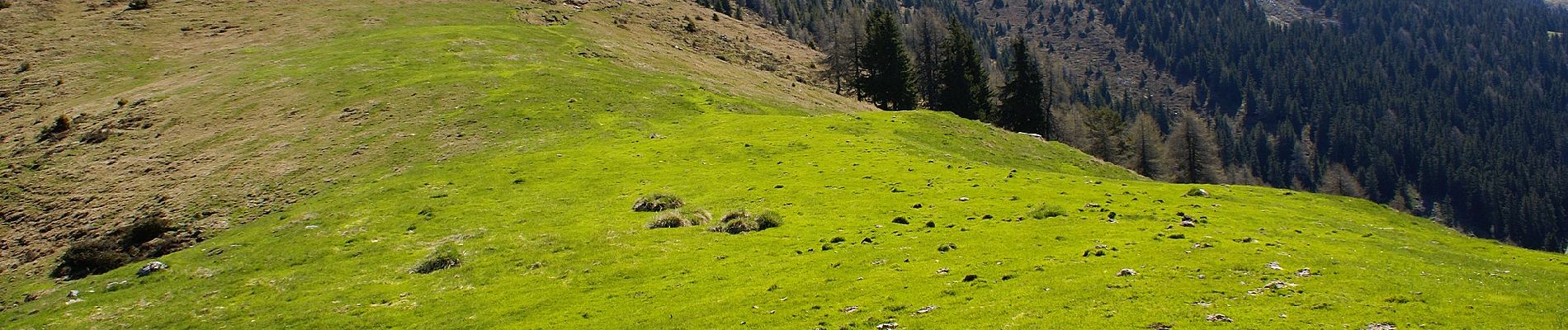 Randonnée A pied Feld am See - Wanderweg 187 (Possegger - Mirnock) - Photo