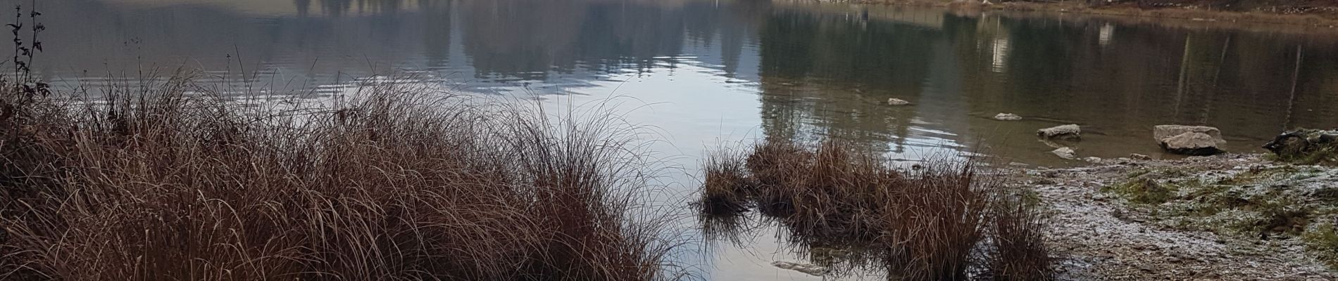 Tour Wandern Oyonnax - lac genin depuis le kiosque - Photo