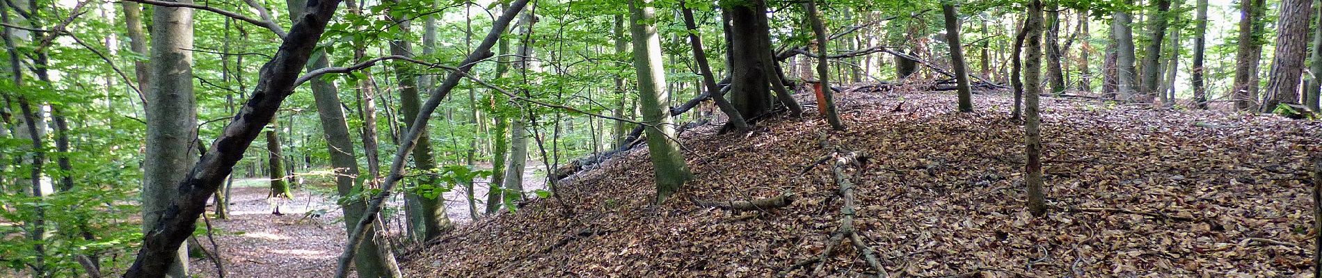 Randonnée A pied Tieschen - Naturbühne - Steinbruchweg - Photo