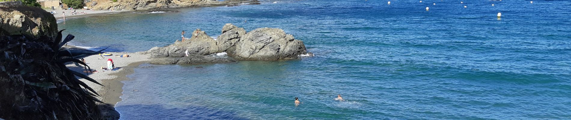 Excursión Senderismo Llançà - Llança du port al cau del llop - Photo