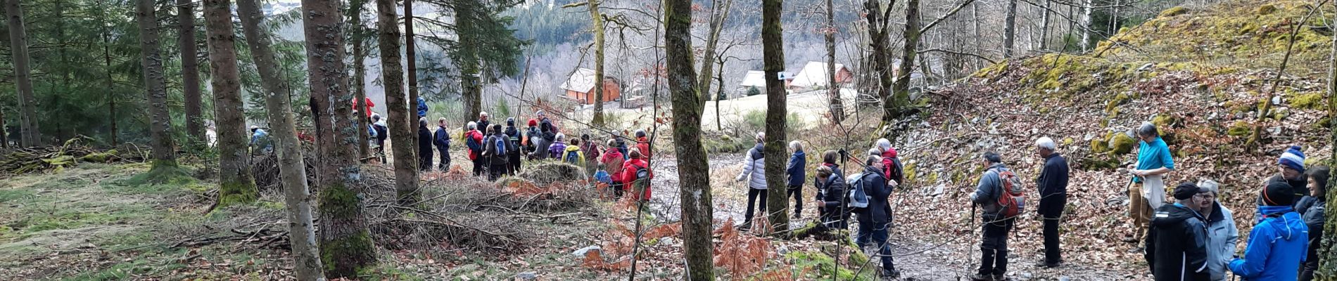 Trail Walking Le Syndicat - Syndicat - Photo