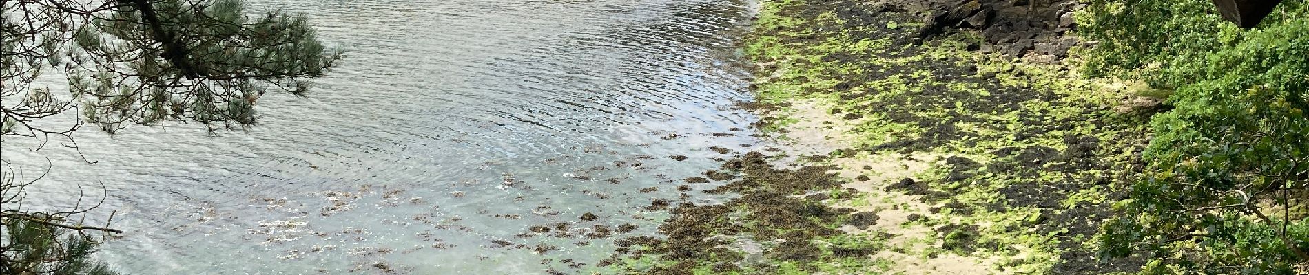 Tocht Stappen Concarneau - Concarneau  - Photo