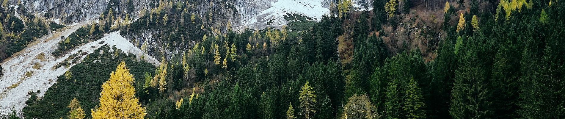 Tour Zu Fuß Gosau - Rundwanderweg Löckersee Gosau - Photo