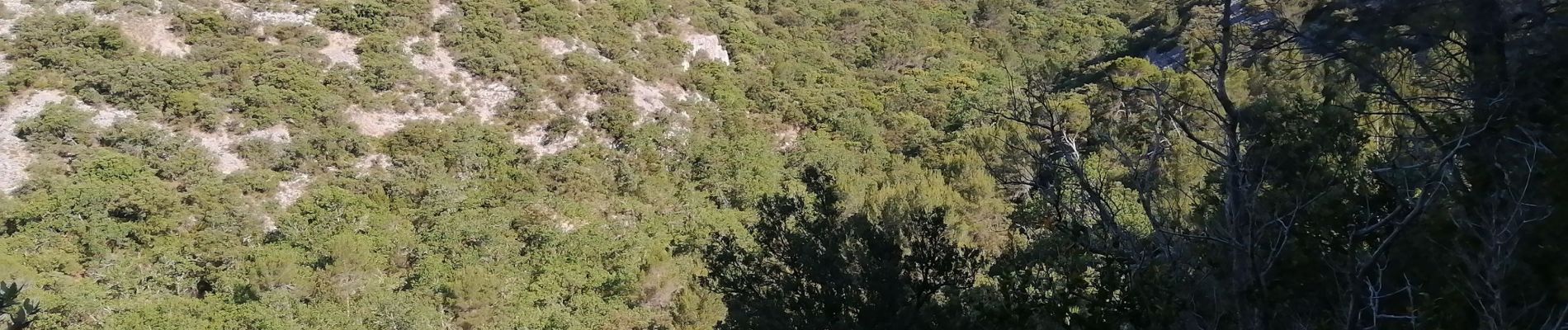 Randonnée Marche Gordes - abbaye de senanque par gordes - Photo